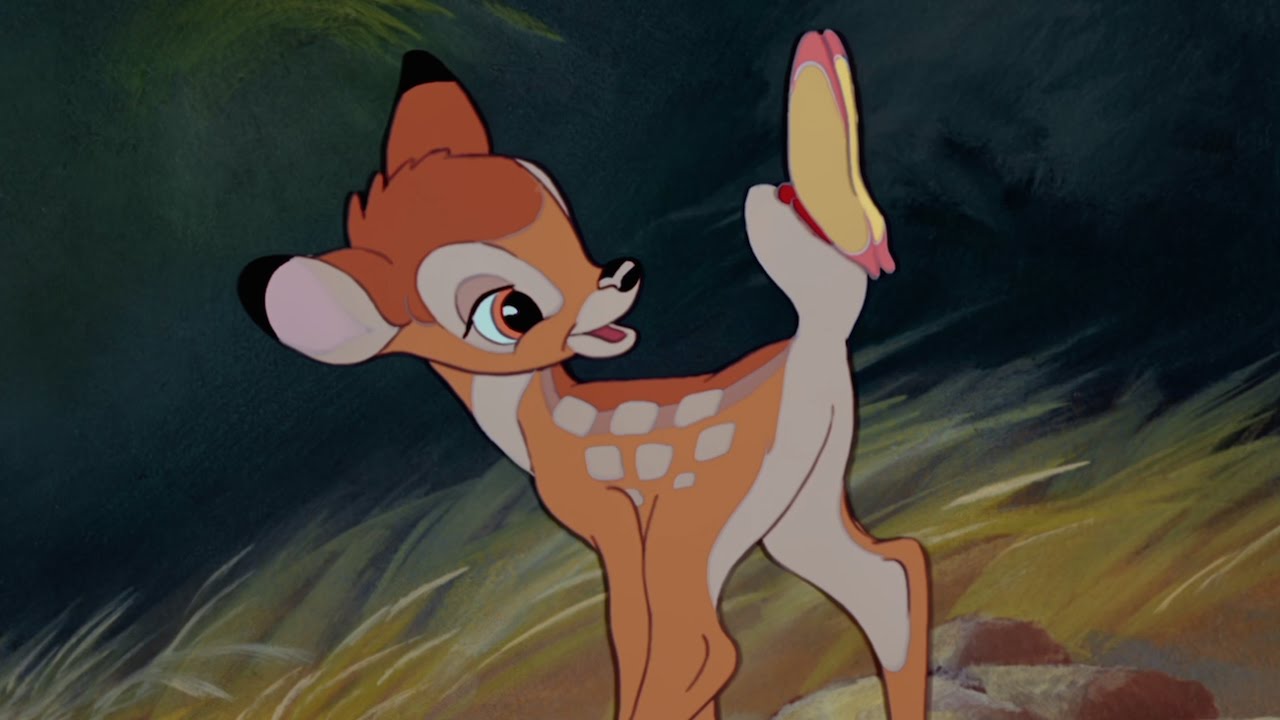 Missouri, bracconiere condannato a guardare il noto cartone “Bambi” una volta al mese